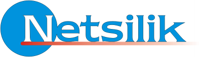 Netsilik logo
